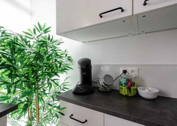 Chill And Sun, 2 Calme Avec Terrasse Et Parking Apartament Metz